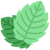 Pepermunt